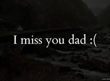 Concept 17 – Eulogy to my father